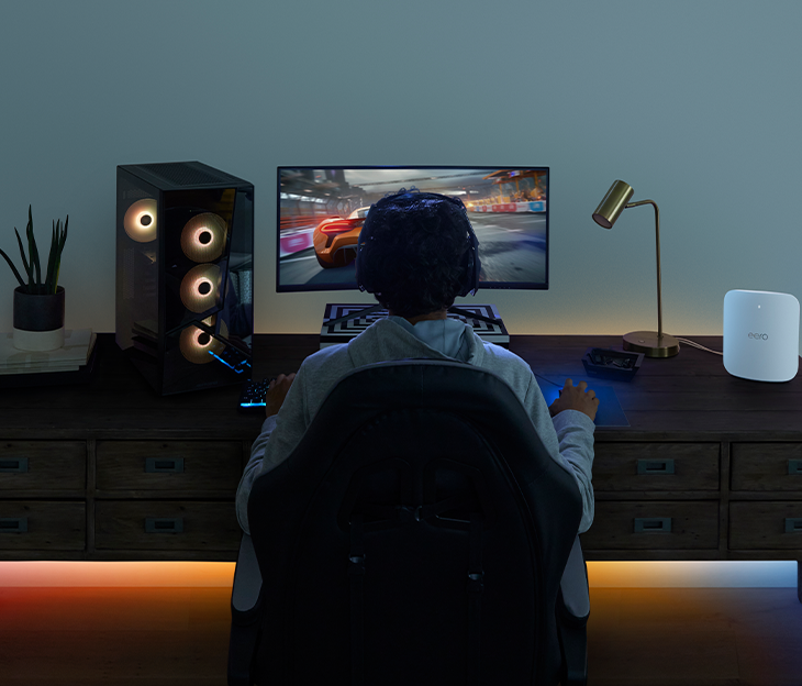 Image of an individual gaming on their computer.
